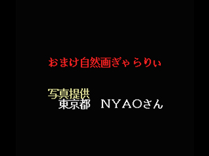 しぜんが